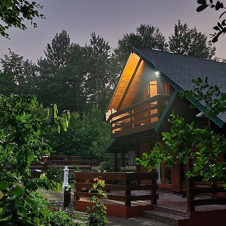 Vikendica Crkvina Villa Kolašin Buitenkant foto
