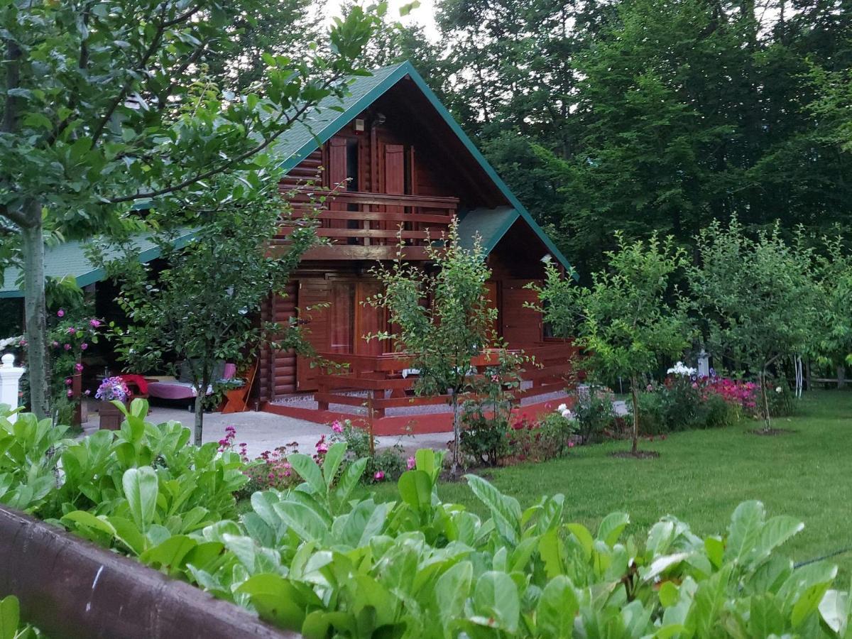 Vikendica Crkvina Villa Kolašin Buitenkant foto