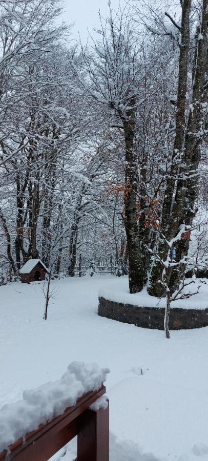 Vikendica Crkvina Villa Kolašin Buitenkant foto