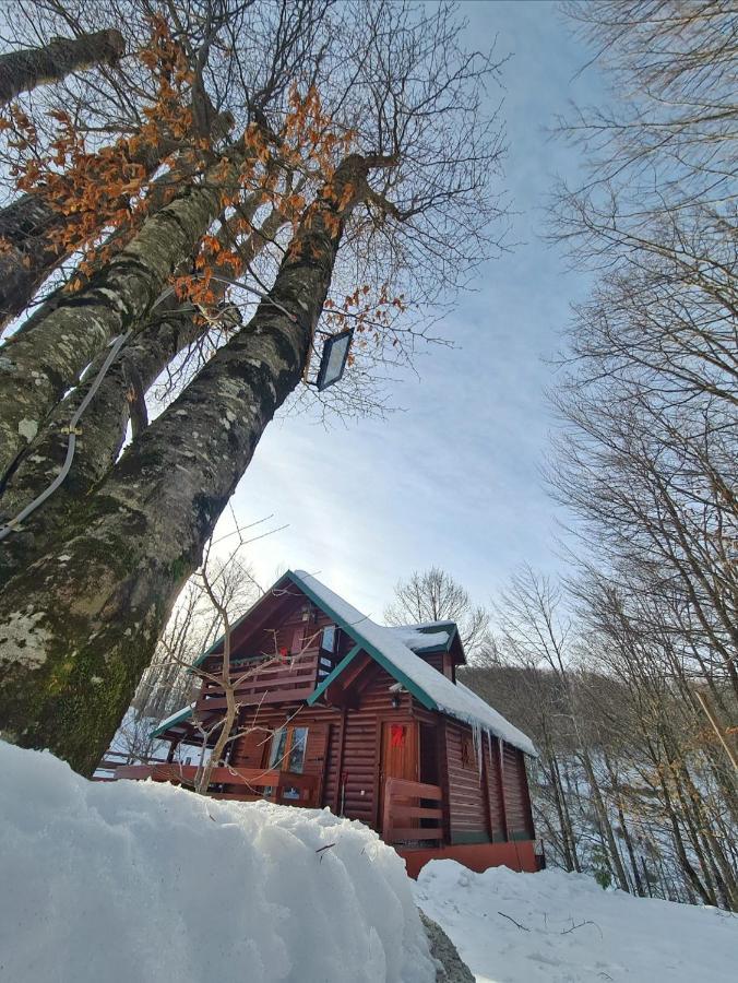Vikendica Crkvina Villa Kolašin Buitenkant foto