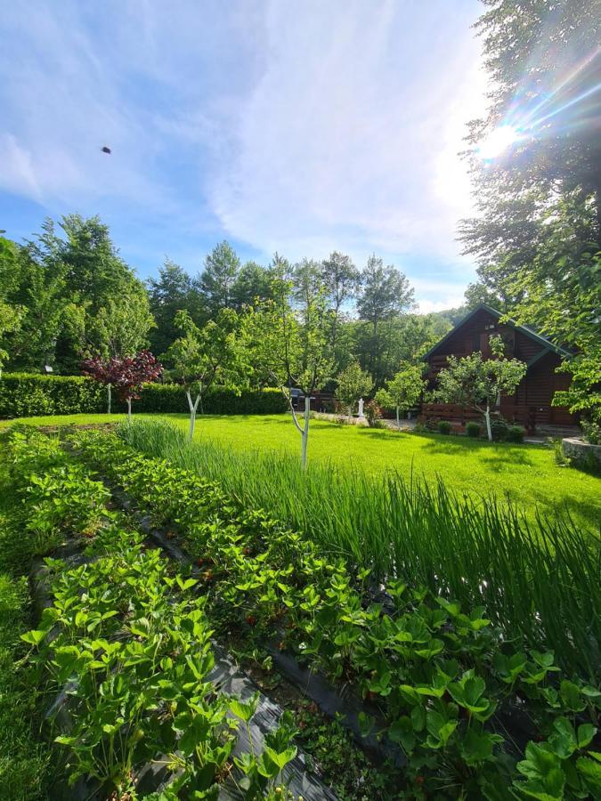 Vikendica Crkvina Villa Kolašin Buitenkant foto