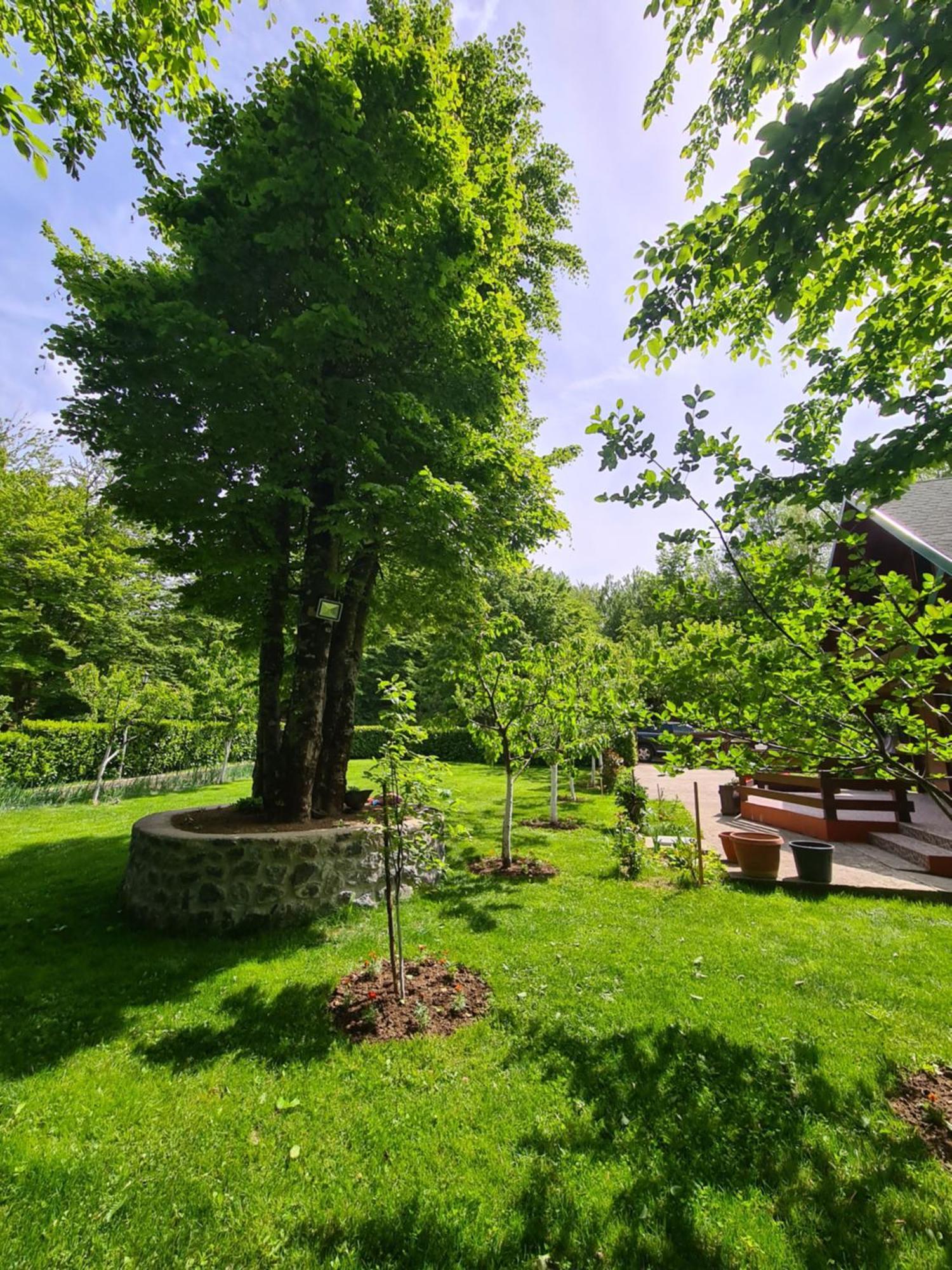 Vikendica Crkvina Villa Kolašin Buitenkant foto
