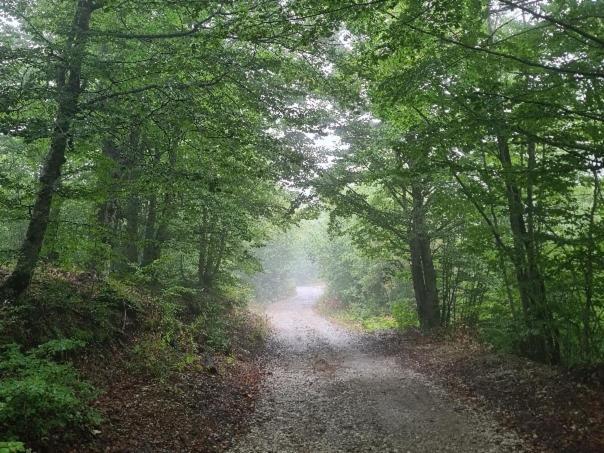 Vikendica Crkvina Villa Kolašin Buitenkant foto